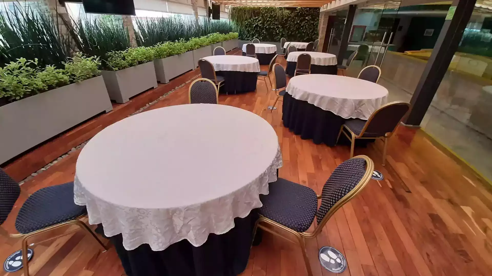 Terraza La Roma