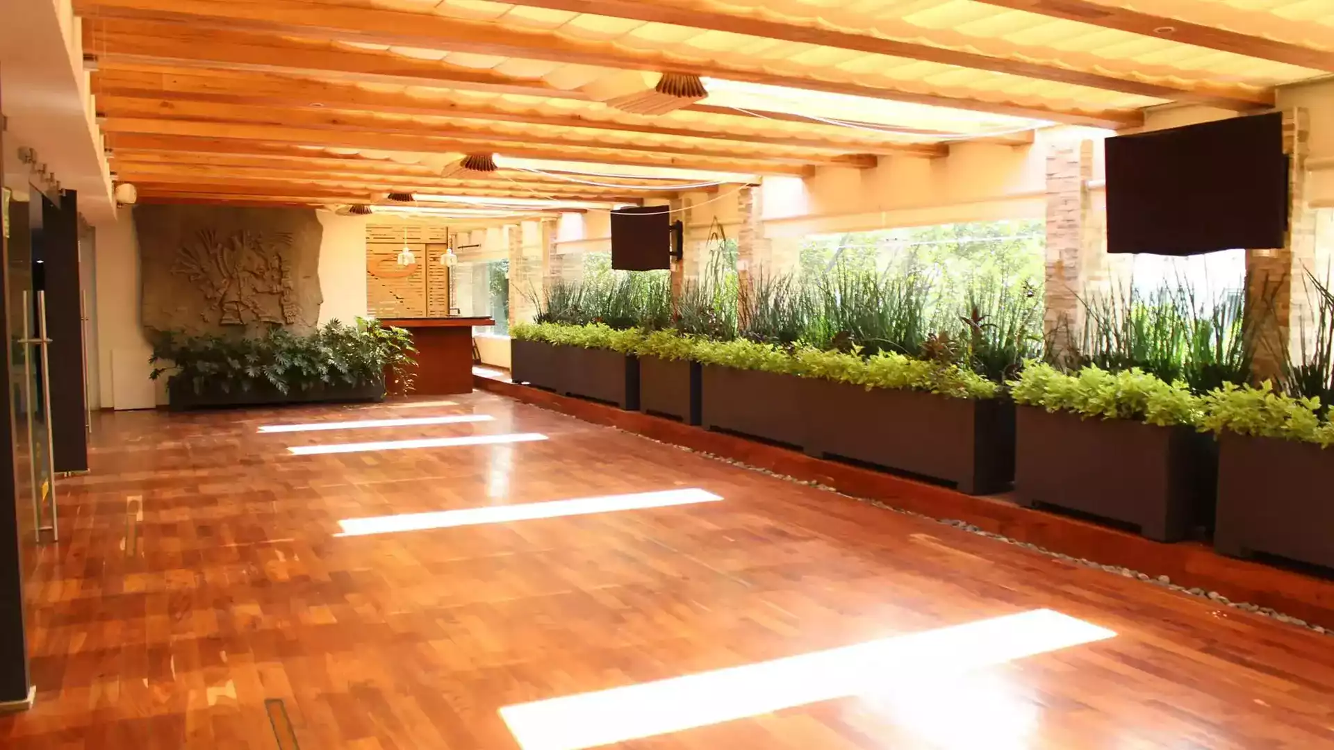 Terraza La Roma