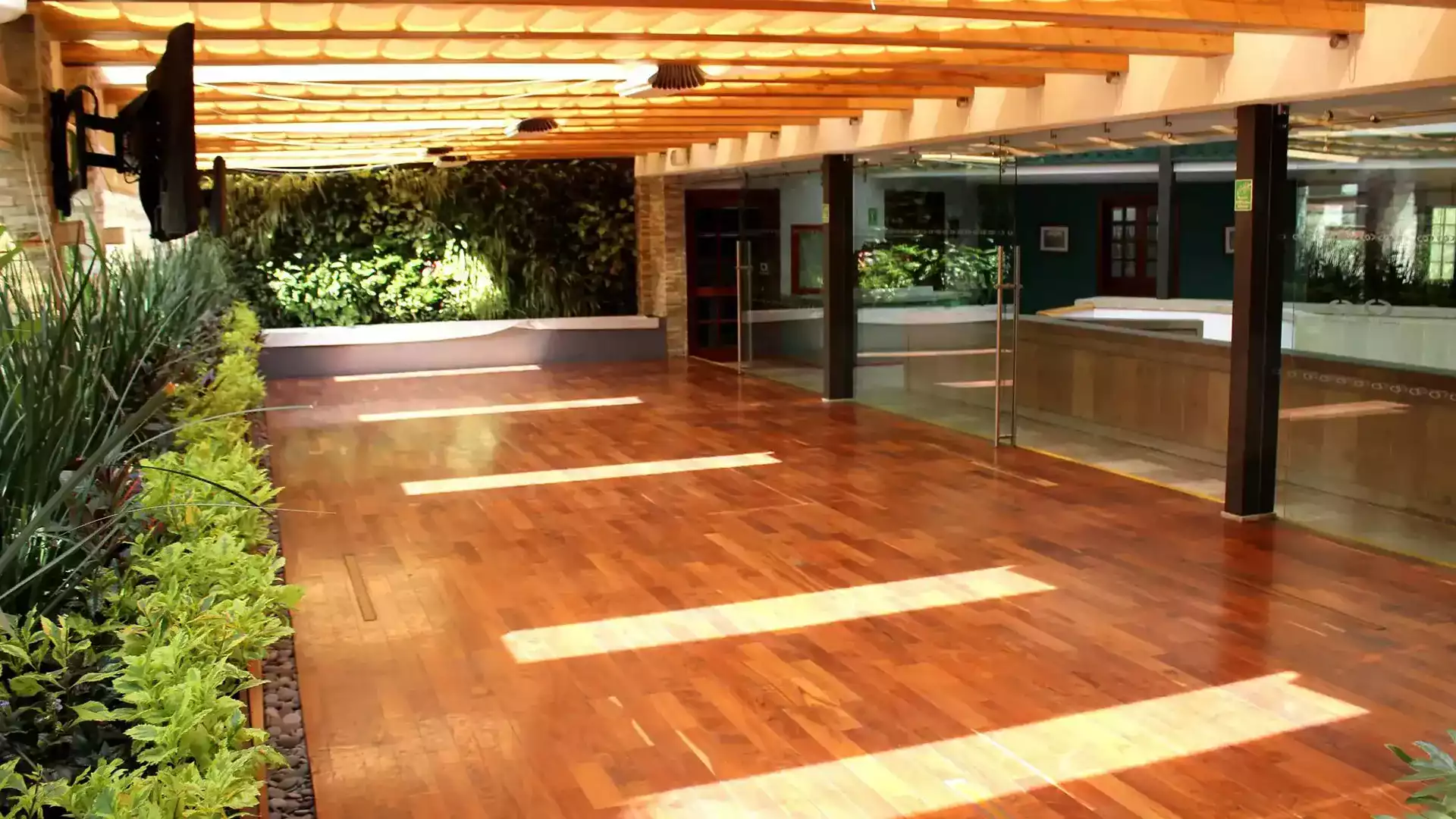 Terraza La Roma