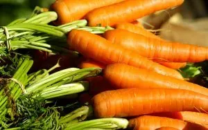 Alimentos para obtener un vientre plano