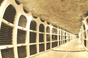 Curiosidades sobre el vino