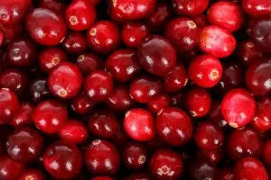 Los mejores alimentos para pasar la temporada invernal