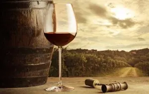 Curiosidades sobre el vino